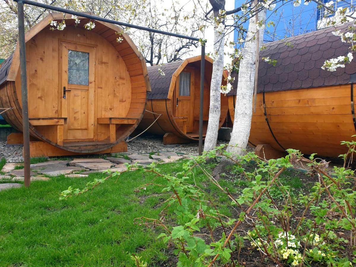 Zozo Hostel Брашов Экстерьер фото