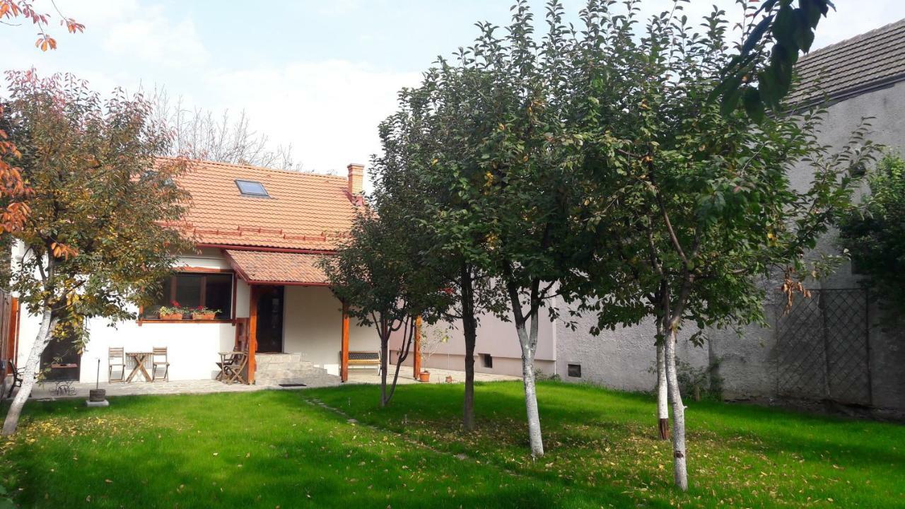 Zozo Hostel Брашов Экстерьер фото